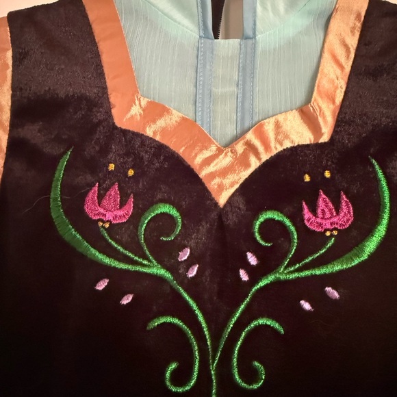 Chasing Fireflies + Disney Anna from Frozen Classic Dress Costume - Picture 5 of 15